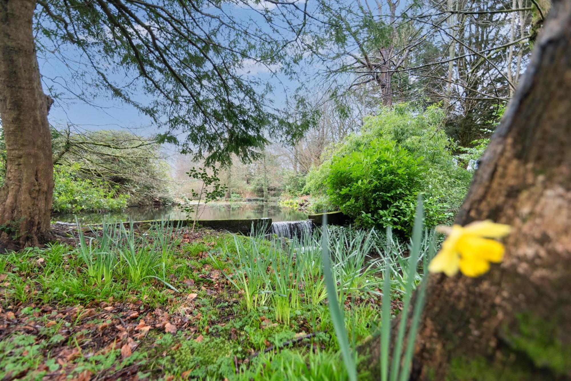 Goytre Hall Abergavenny Exteriör bild