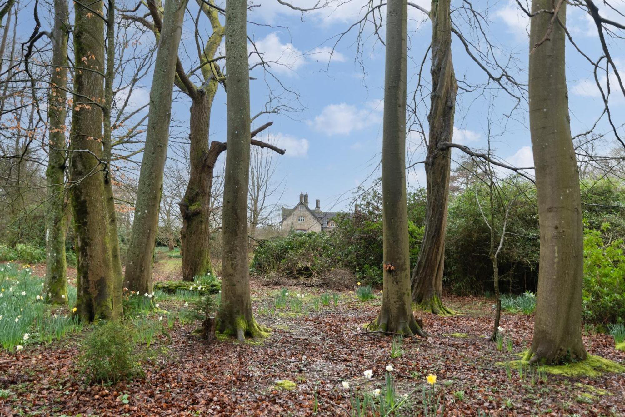 Goytre Hall Abergavenny Exteriör bild